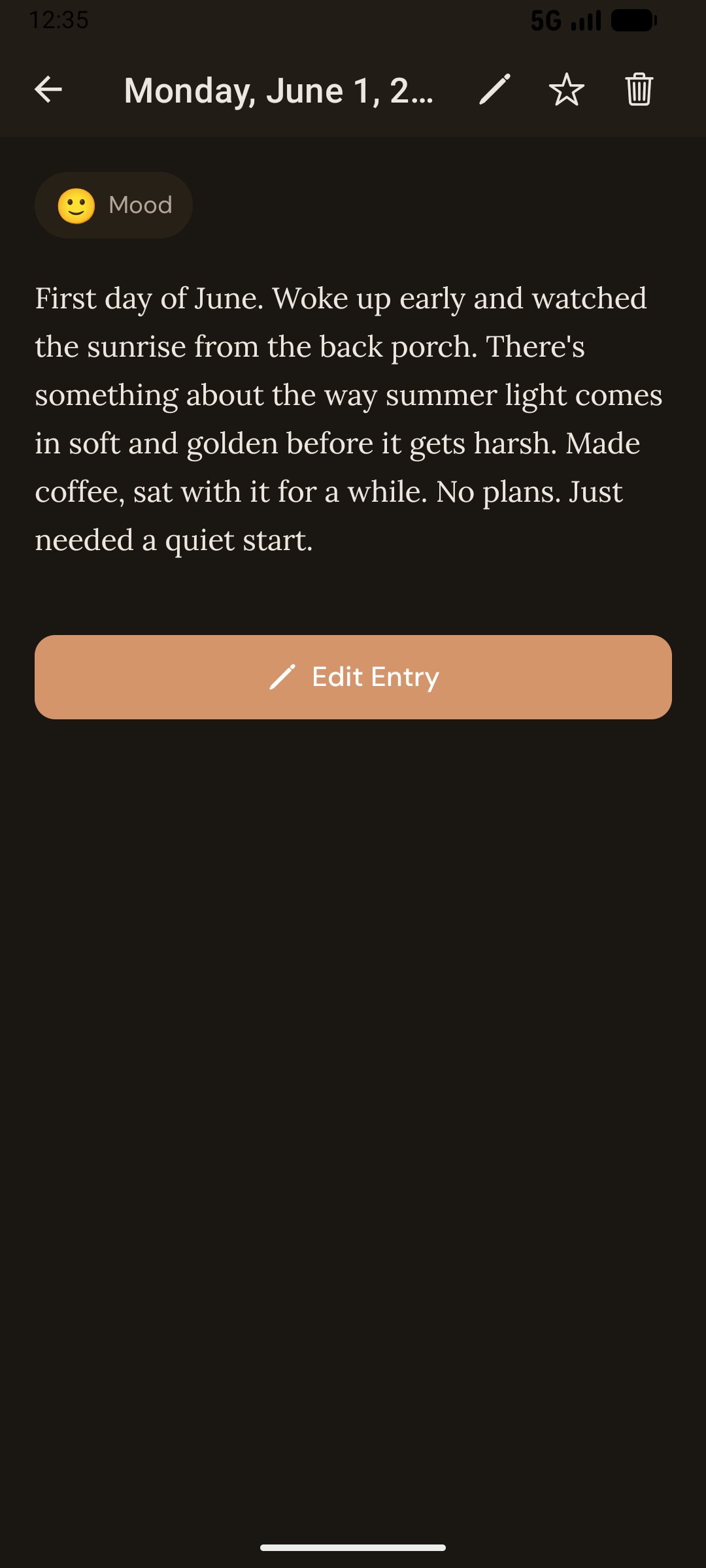 Reading a past journal entry in dark mode